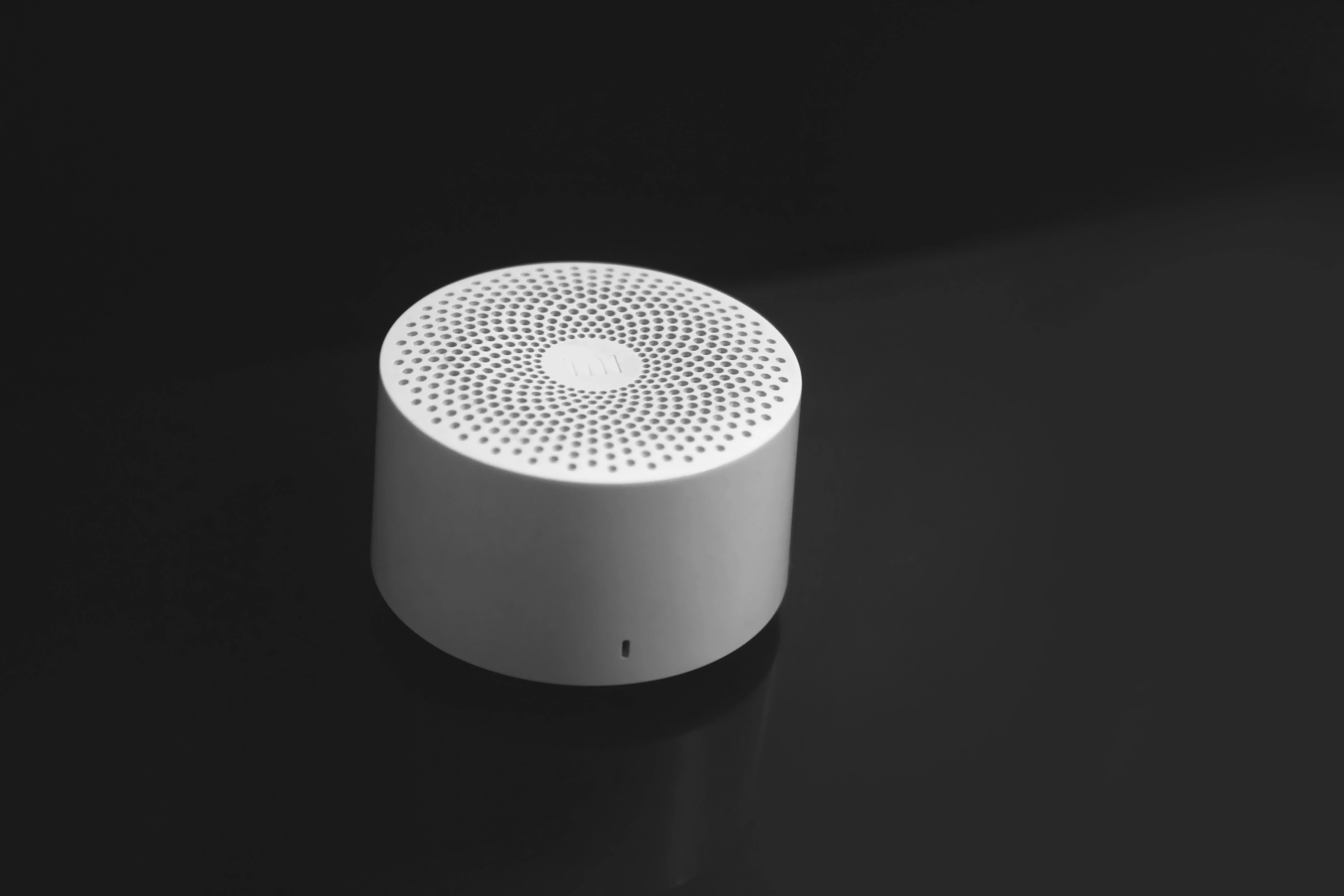 Portable Bluetooth Speaker